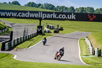 cadwell-no-limits-trackday;cadwell-park;cadwell-park-photographs;cadwell-trackday-photographs;enduro-digital-images;event-digital-images;eventdigitalimages;no-limits-trackdays;peter-wileman-photography;racing-digital-images;trackday-digital-images;trackday-photos